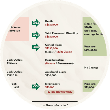 Policy Summary Restructuring visual
